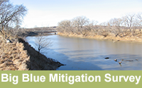 Big Blue Mitigation Survey 